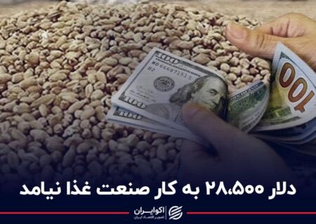 دلار 28500 به کار صنعت غذا نیامد