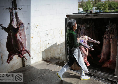 تأیید توقف واردات گوشت برزیلی / دامپزشکی: گوشت‌های وارداتی مشکلی ندارند