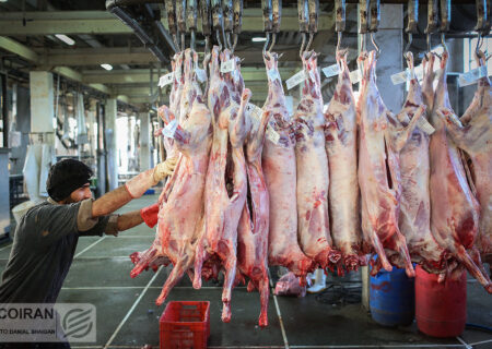 شناسایی عامل گرانی گوشت در بازار