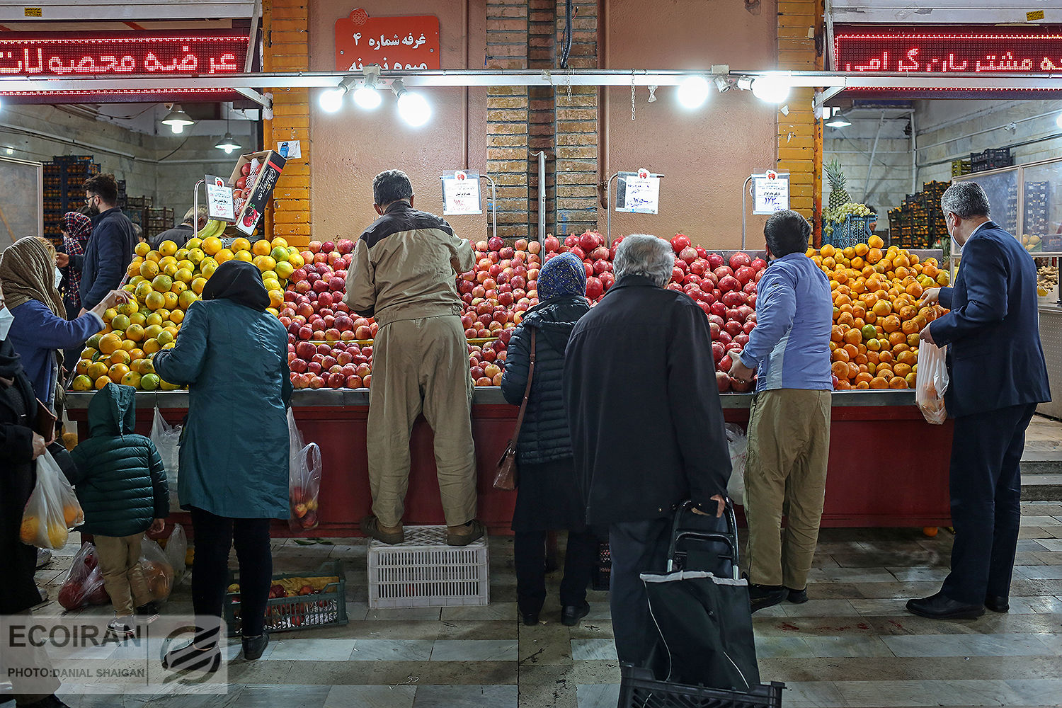 نارنگی بندری 60 هزار تومان/ سیب و پرتقال تنظیم بازار از فردا در تره بار