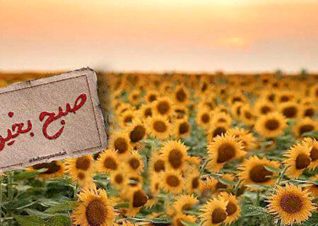 فال ابجد امروز / 7 تیر + فیلم