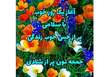 فال روزانه شخصی/ 19 خرداد ماه + فیلم