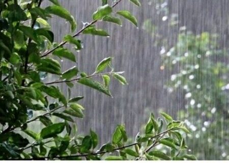 وضعیت جوی کشور تا پایان هفته/ کاهش دما و بارش باران در نوار شمالی کشور