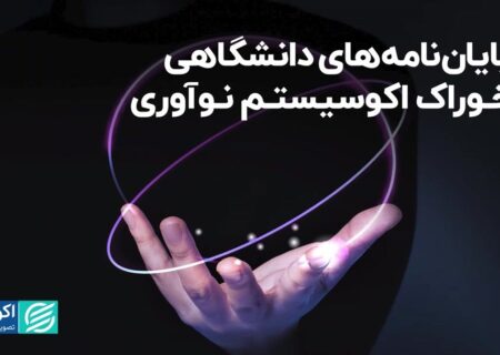 پایان‌نامه‌های دانشگاهی، خوراک اکوسیستم نوآوری