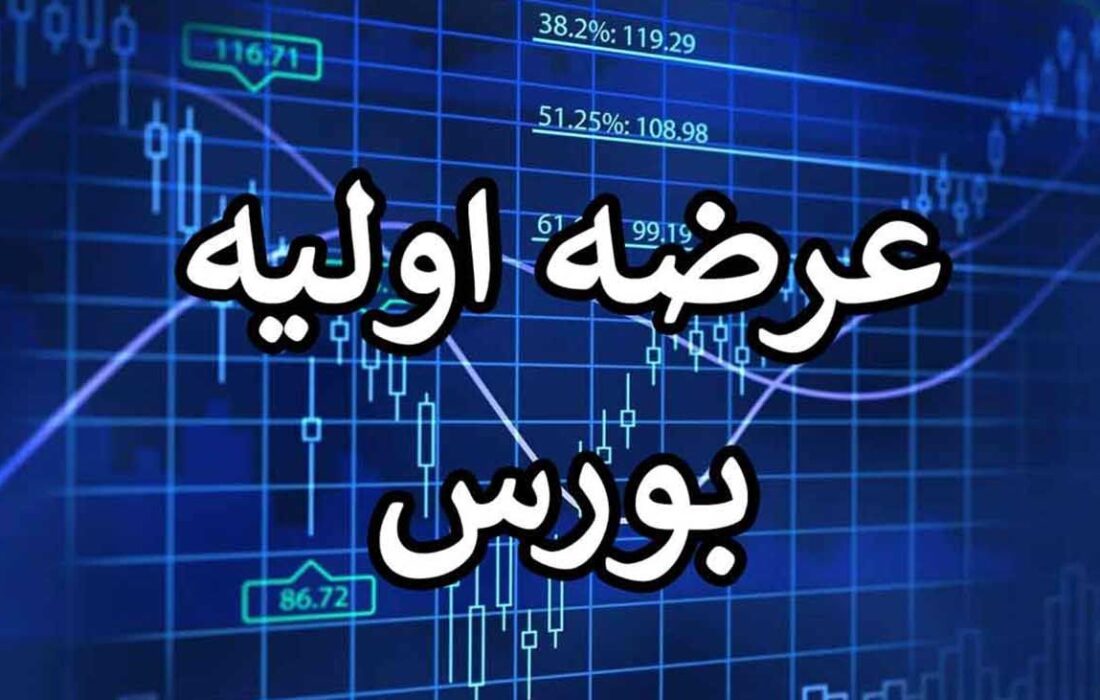 نهمین عرضه اولیه سال 1402 این هفته انجام می شود