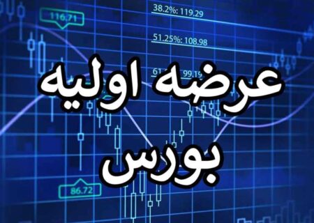 نهمین عرضه اولیه سال 1402 این هفته انجام می شود