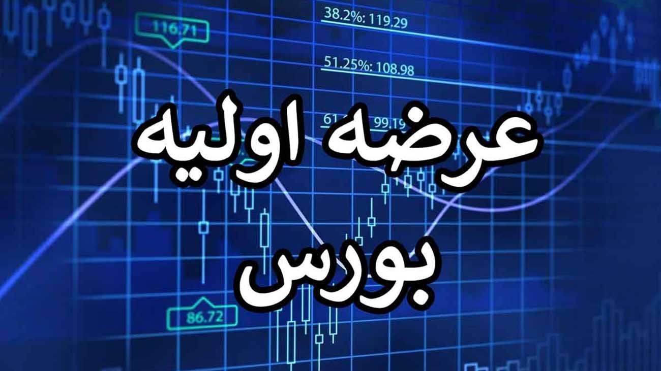 نهمین عرضه اولیه سال 1402 این هفته انجام می شود