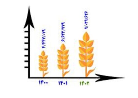 آخرین وضعیت خرید گندم تا نیمه مرداد 1402.