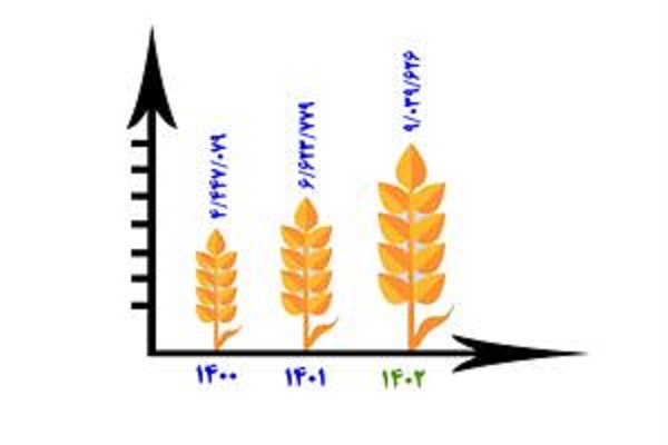 آخرین وضعیت خرید گندم تا نیمه مرداد 1402.