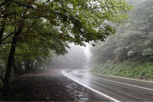 بارش باران و ترافیک سنگین در جاده چالوس