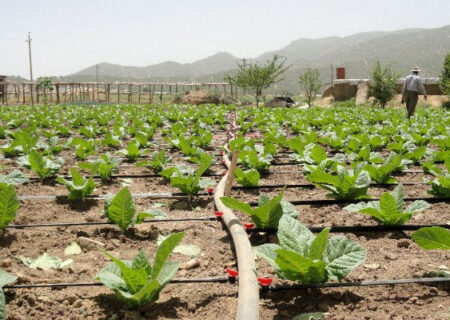 شناسایی 850 انشعاب آب غیر مجاز در لرستان