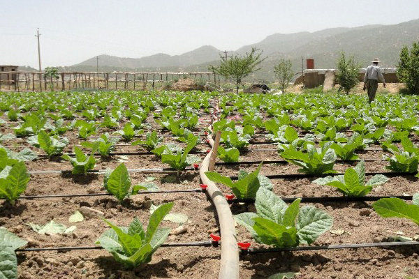 شناسایی 850 انشعاب آب غیر مجاز در لرستان