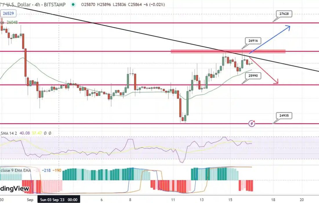 پیش بینی قیمت بیت کوین/ محبوب ترین ارز دیجیتال جهان به کجا می رود؟