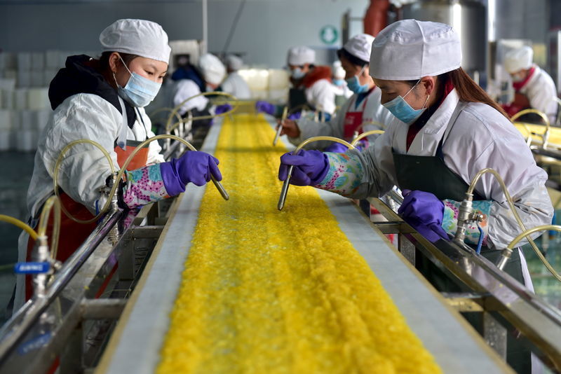 آیا اژدهای زرد در رکود فرو رفته است؟/ارزیابی شاخص های اقتصاد چین