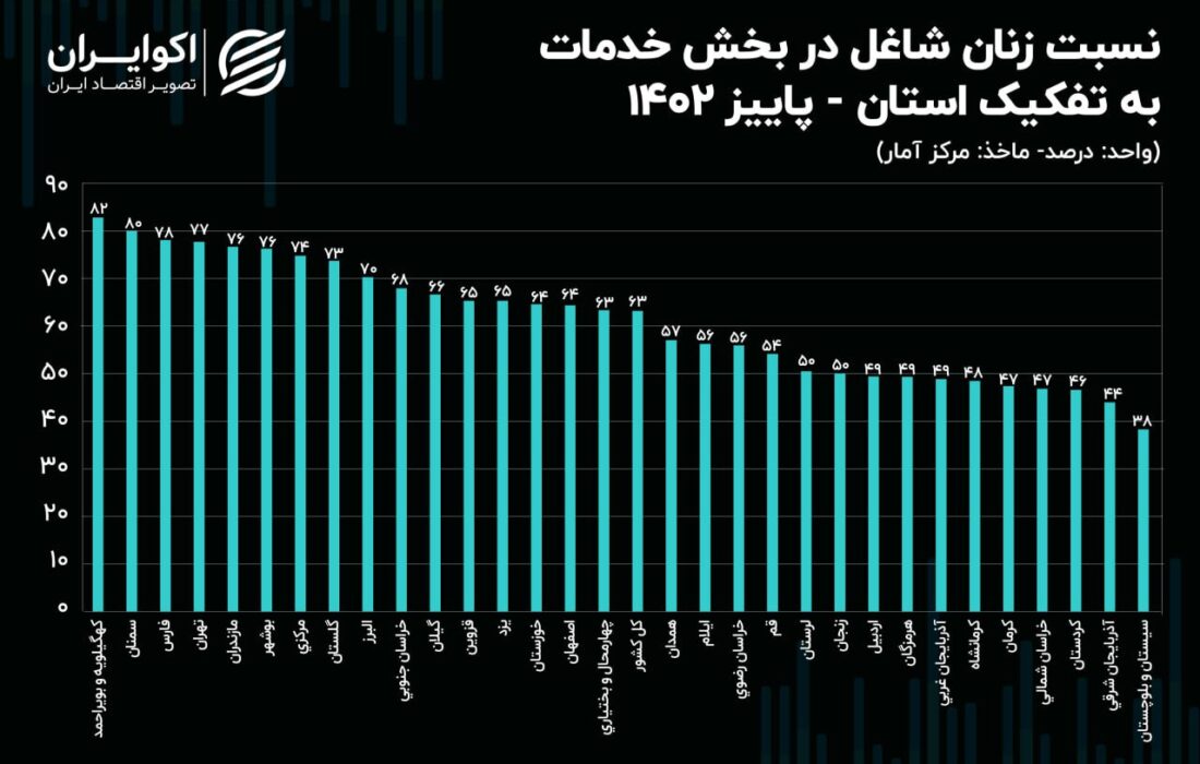 سهم اندک خدمات در اشتغال زنان سیستانی