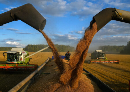 روسیه صاحب یک چهارم بازار جهانی گندم است.