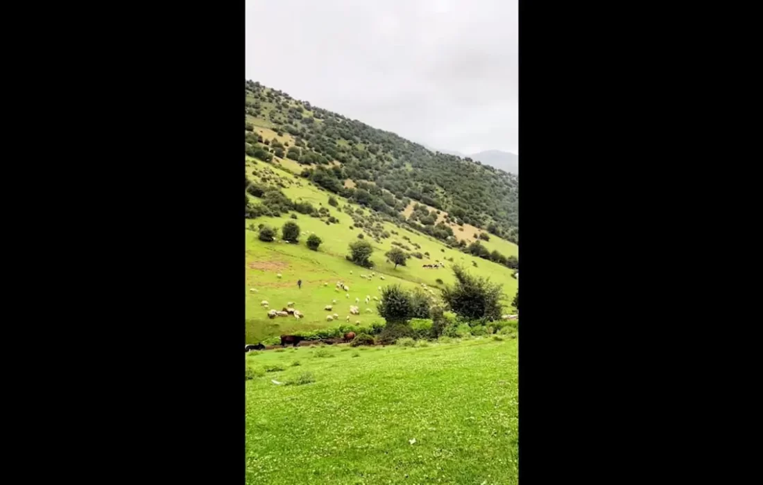 طبیعت زیبای شمال ایران