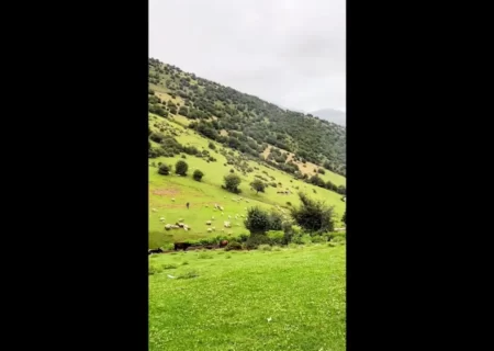 طبیعت زیبای شمال ایران