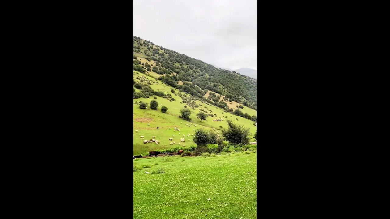 طبیعت زیبای شمال ایران