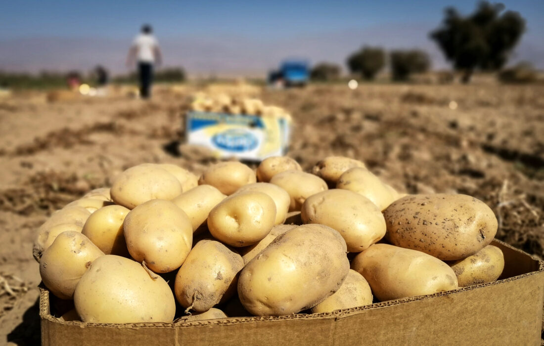 سهم ناچیز ایران در بازار پررونق عمان