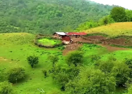 طبیعت زیبای چلاو و سنگچال مازندران – منظره ای آرام و سرسبز!