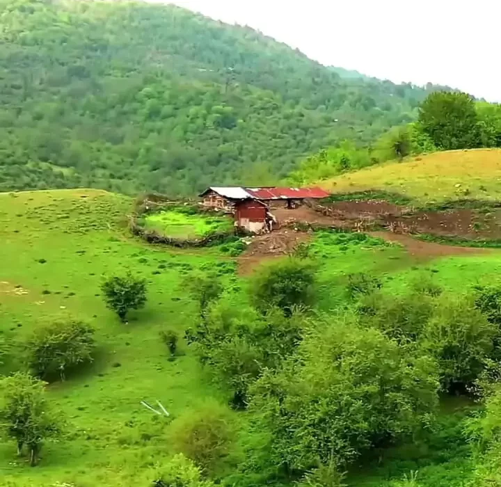 طبیعت زیبای چلاو و سنگچال مازندران – منظره ای آرام و سرسبز!