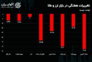 دارندگان نیم سکه و سکه گرمی نقره داغ شدند