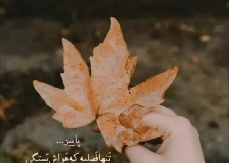 فال حافظ 30 آبان + فیلم