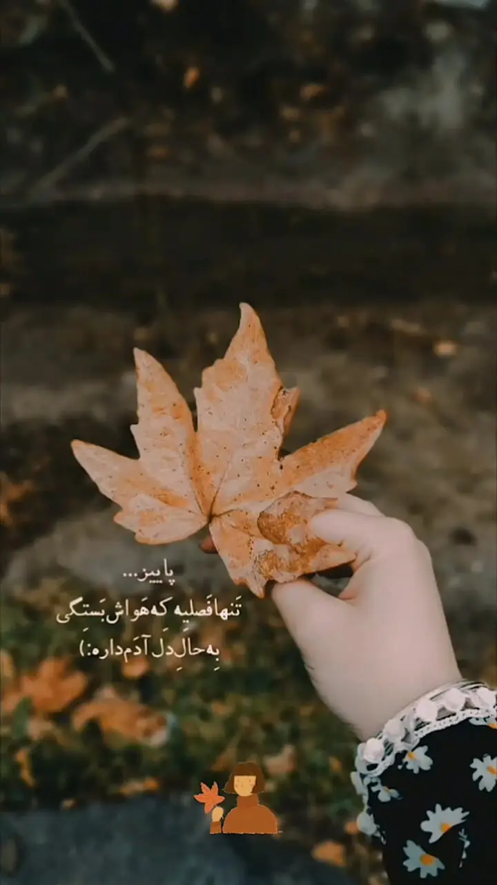 فال حافظ 30 آبان + فیلم