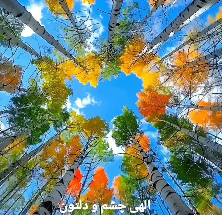 فال حافظ 22 آذر با دقیق ترین تفسیر + فیلم