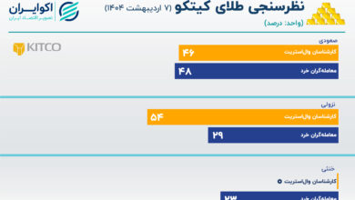 کیتکو (2)