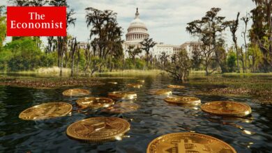 اقتصاددان: Crypto Ideal Fall ؛ چگونه رامسر در باتلاق قدرت به دام افتاد؟