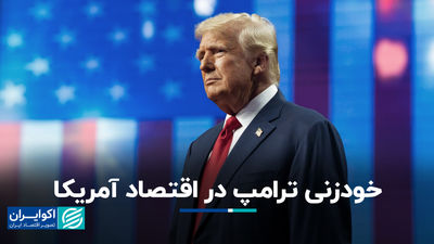 خودکشی ترامپ در اقتصاد ایالات متحده
